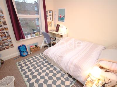 Picture 13